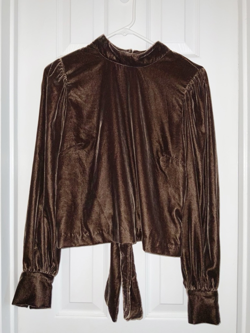 Banana Republic Factory Velvet Long Sleeve Open Back Crop Top M Victorian New